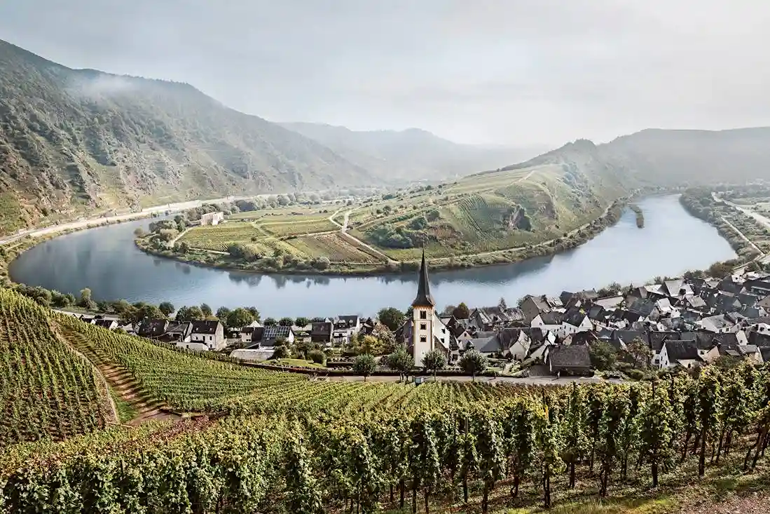 Moseltal mit Weinbergen und Burgen